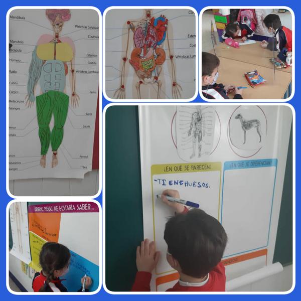 LOS ALUMNOS APRENDEN HACIENDO