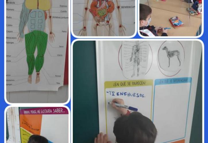 LOS ALUMNOS APRENDEN HACIENDO