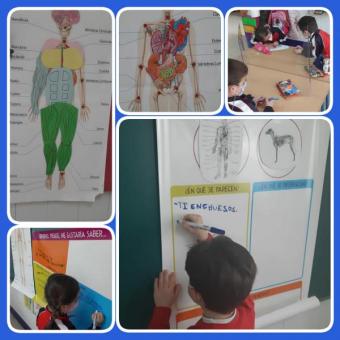 LOS ALUMNOS APRENDEN HACIENDO